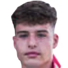 S. van Manen