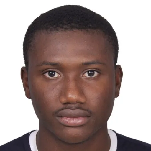 M. Diallo