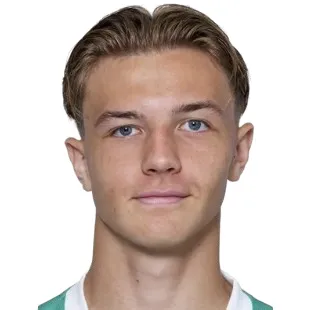 K. Muharemovic