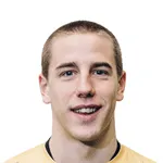 M. Jevtovic