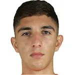 K. Ayvazyan