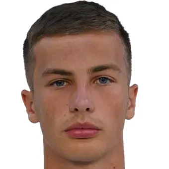 I. Gubarevich