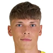 M. Pavlik