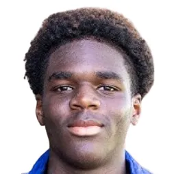 R. Coulibaly