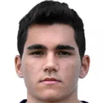 V. Bogdanovic