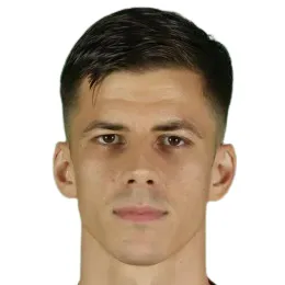 L. Ilic
