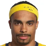 D. Wood
