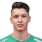 M. Zocher