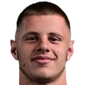 N. Čelik