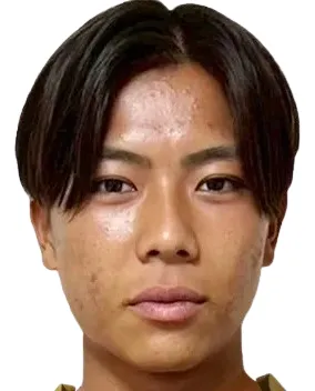 J. Fujita