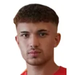 Necip Özer