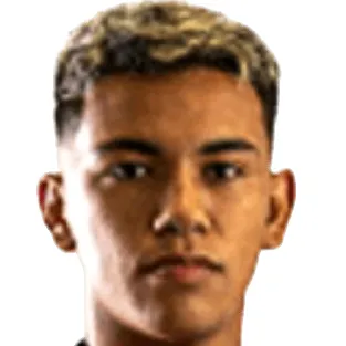 C. Ibarra