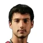 N. Lainović