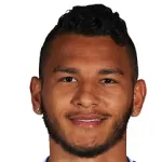 L. Suarez