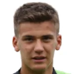 F. Stankovic