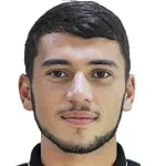 Z. Shaghoyan