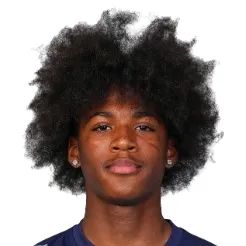 N. Bassega