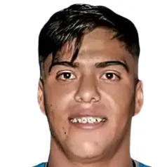 P. Meza