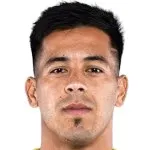 N. Fernandez