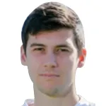 I. Ljubičić