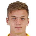 Ș. Tomache