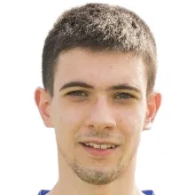 F. Dolcini
