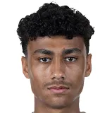 M. Qasheesh