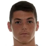 D. Vukovic