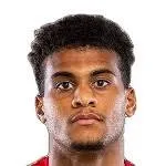 L. Diaby