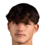 A. Djordjevic