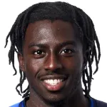 J. Adedeji