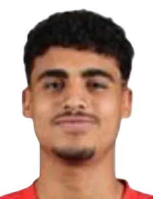 M. Raafat