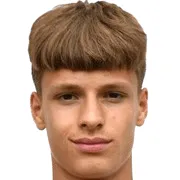 L. Jovanovic