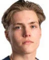 D. Heikkinen