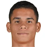 M. Navarro