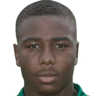 N. Nwankwo
