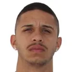 Douglão