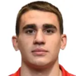 N. Janjic