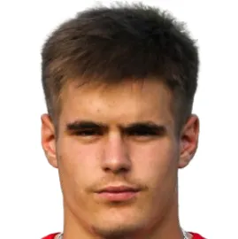 N. Motika