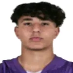 Y. Badaoui