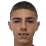 P. Anicic