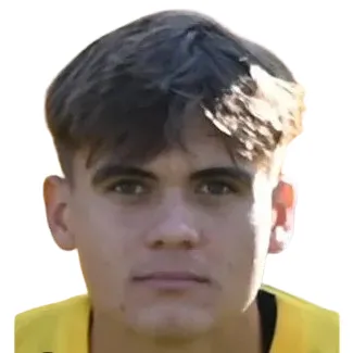 D. Matei