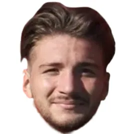 Tarık Tuğyan