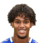 V. Da Silva