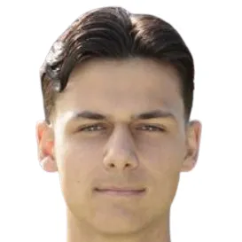 M. Perovic
