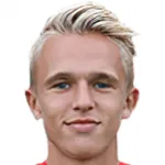 N. Holm Pedersen