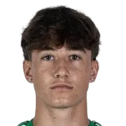 K. Banati