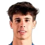 P. Roson