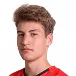 L. Brlek