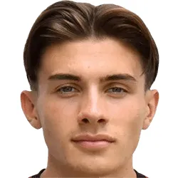 N. Ajanović